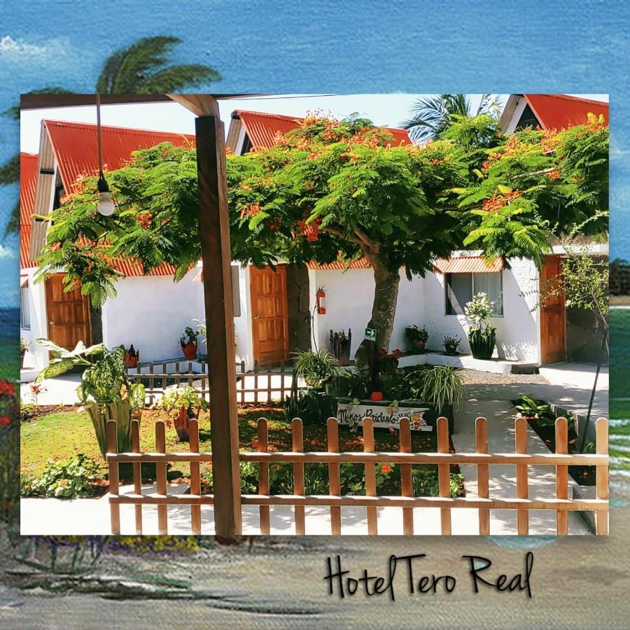 Hostal Tero Real ปวยร์โต วิลยามิล ภายนอก รูปภาพ
