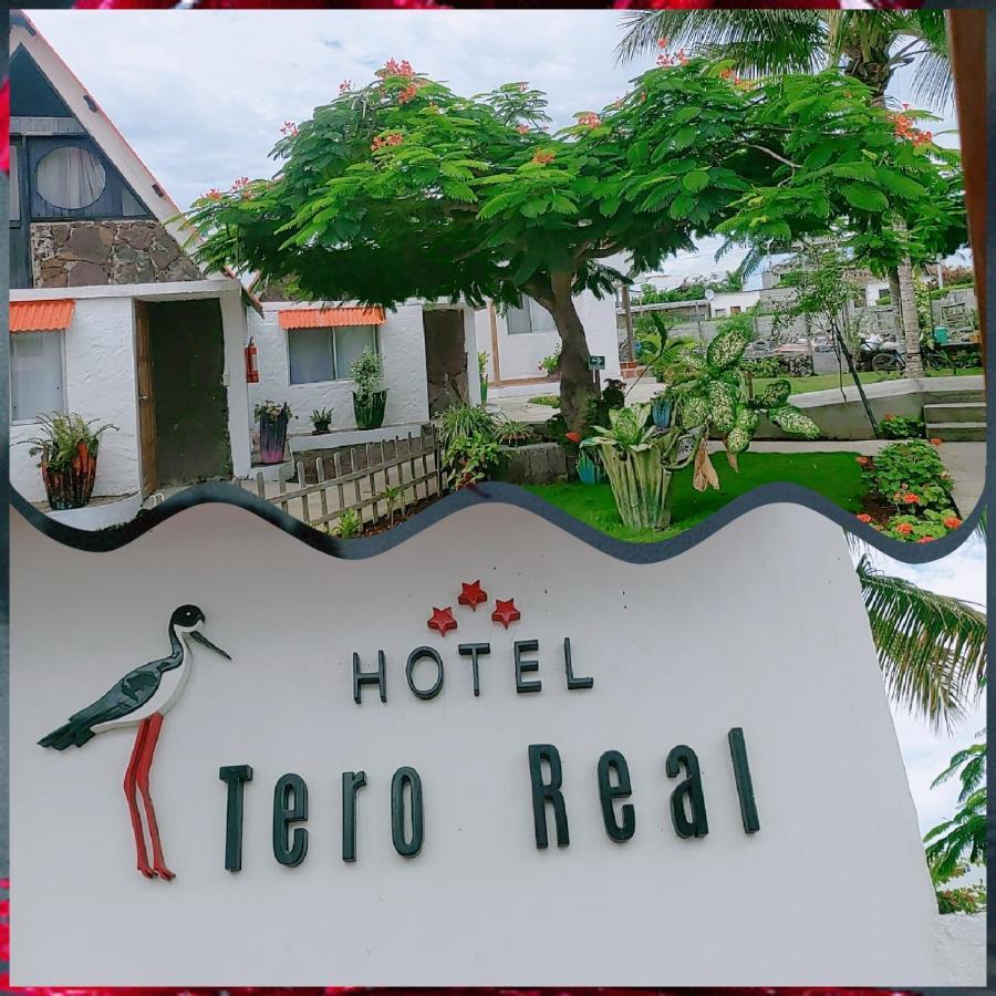 Hostal Tero Real ปวยร์โต วิลยามิล ภายนอก รูปภาพ