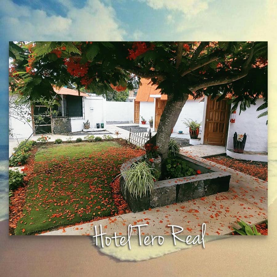 Hostal Tero Real ปวยร์โต วิลยามิล ภายนอก รูปภาพ